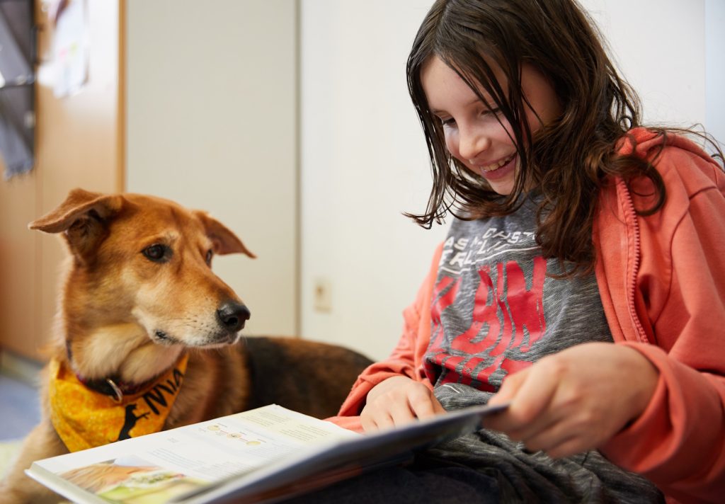 Mädchen liest Schulhund vor