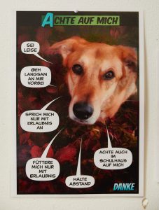 Poster mit Regeln für den Schulhund