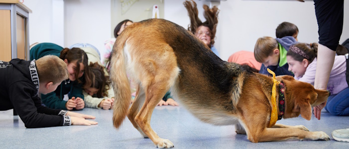 Schülerinnen und Schüler strecken sich mit Schulhund