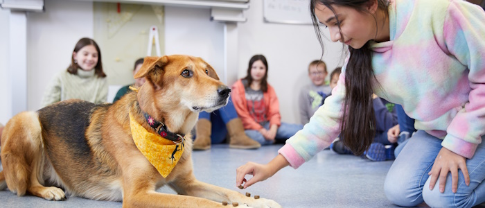 Schulhund Mia und Schülerin